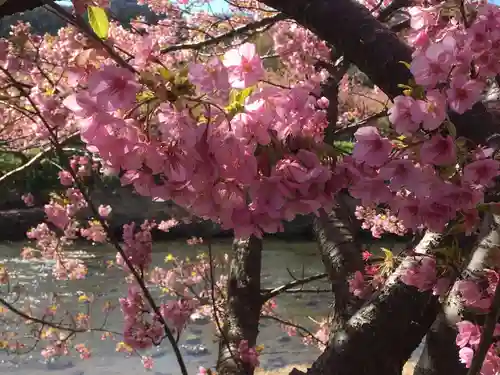 かっぱの寺 栖足寺の自然