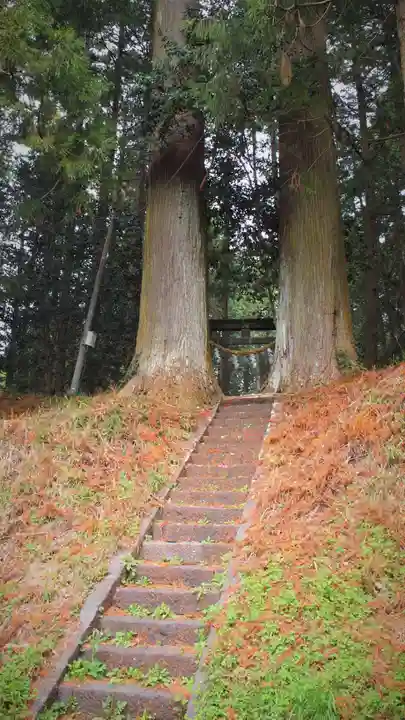 星宮神社の自然