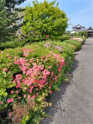 永徳寺(群馬県)