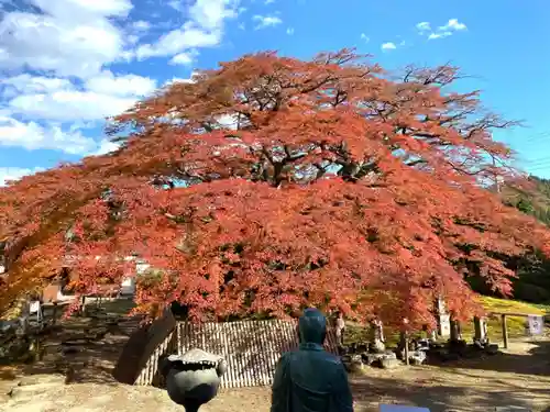 西善寺の庭園