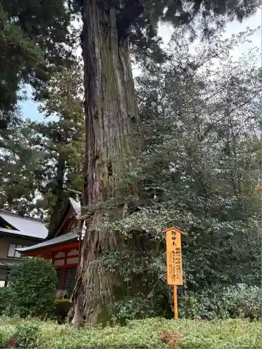 香取神宮(千葉県)