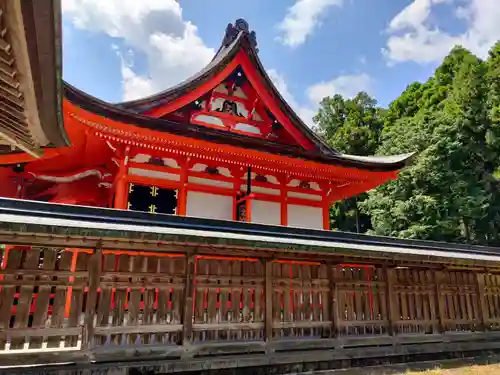 土佐神社の本殿