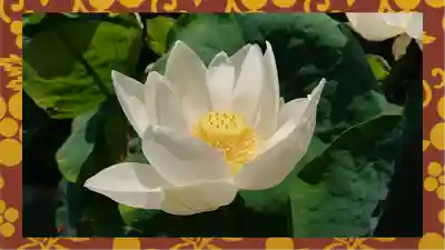 大蔵院(群馬県)