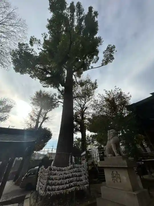 中目黒八幡神社(東京都)
