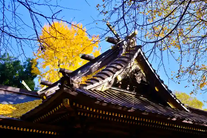 玉敷神社(埼玉県)