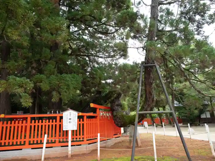 香椎宮(福岡県)