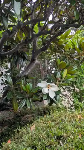法然寺(奈良県)