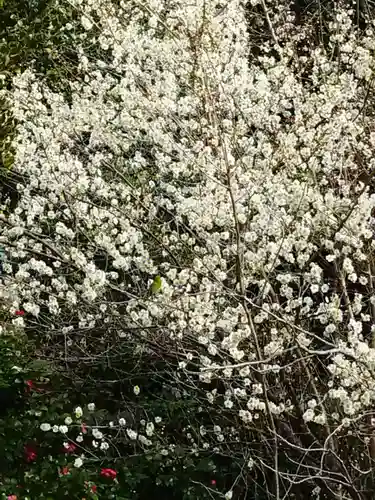 宗像神社の自然