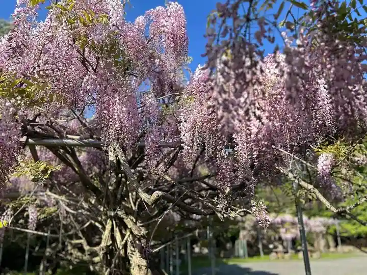 木舟山 順教寺(広島県)