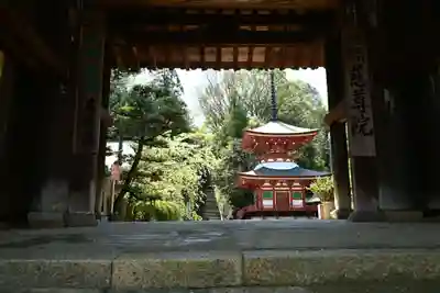 慈尊院(和歌山県)