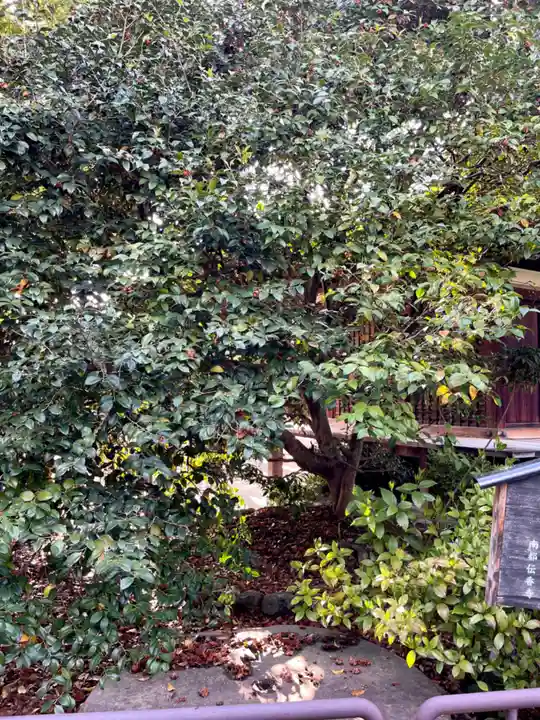 伝香寺(奈良県)