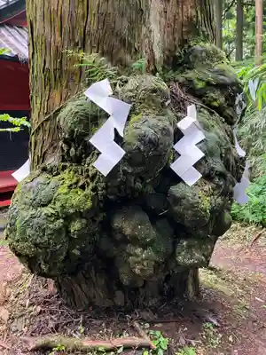 本宮神社（日光二荒山神社別宮）(栃木県)