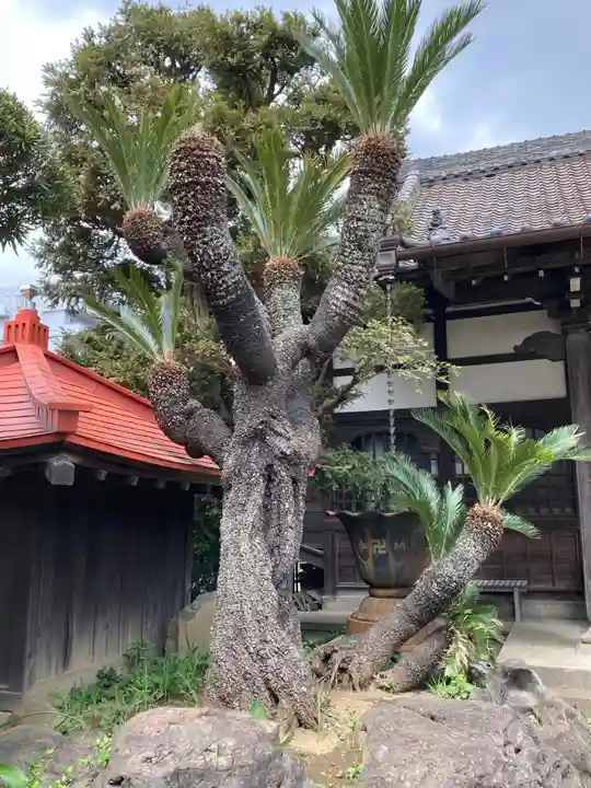 吉祥寺(千葉県)