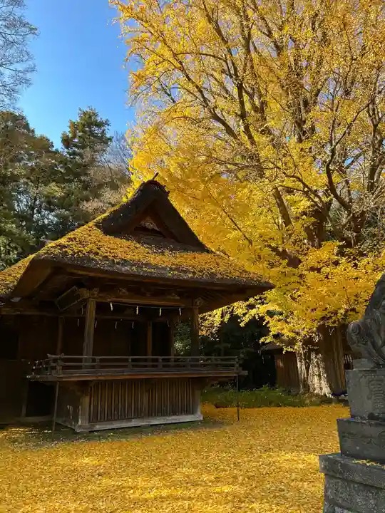 玉敷神社(埼玉県)