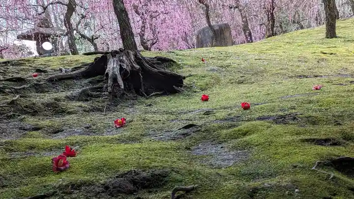 城南宮(京都府)