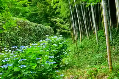 長壽寺（長寿寺）(神奈川県)