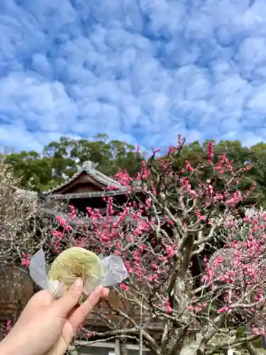 太宰府天満宮(福岡県)