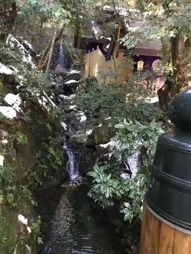 多度大社の自然