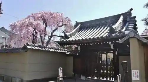 成願寺の山門・神門