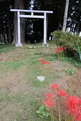 九万八千神社(埼玉県)
