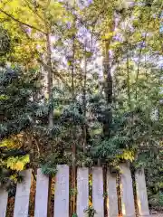 桜木神社(香川県)