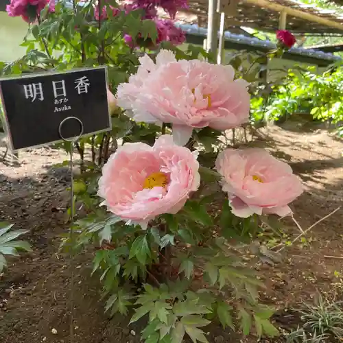 上野東照宮の庭園