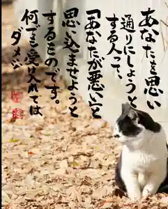 専念寺の御朱印(2023年02月04日(土) 18時45分56秒投稿)