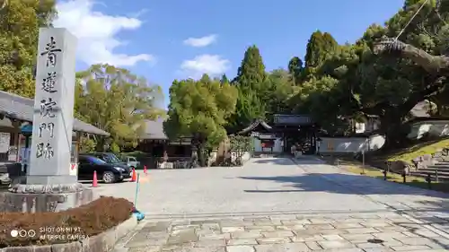 青蓮院門跡のその他建物