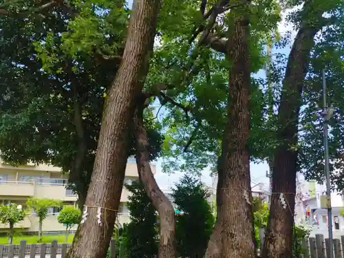 大利神社(大阪府)