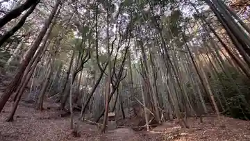 竜王神社(京都府)