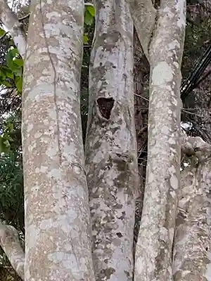 湯神神社(宮城県)