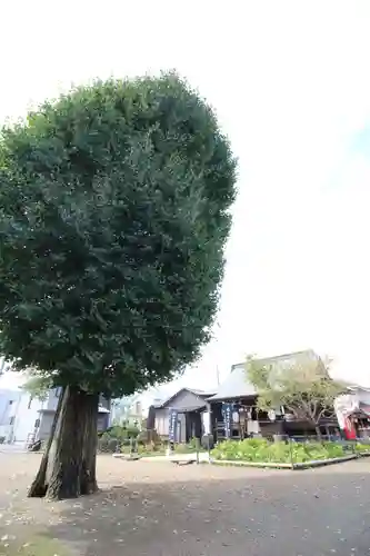 日吉八王子神社のその他建物