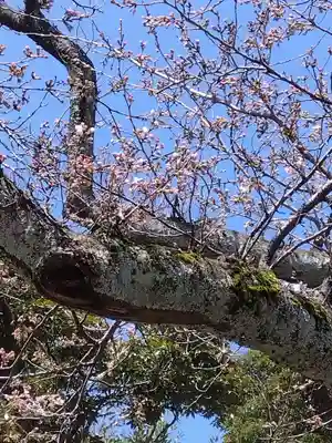 杉杜白髭神社(福井県)