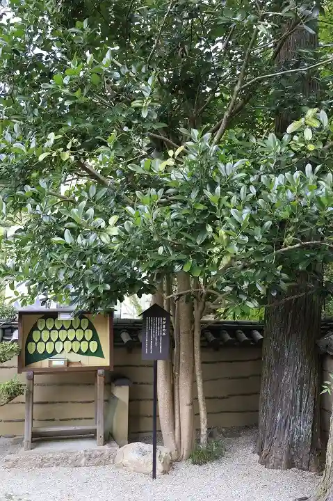 法起院(奈良県)