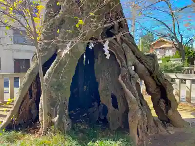 高城神社(埼玉県)