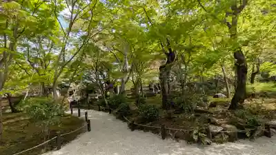 圓光寺(京都府)