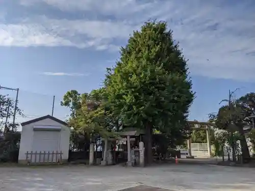 潮田神社の景色