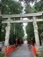 馬橋稲荷神社(東京都)