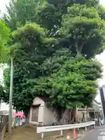 道祖神社(千葉県)