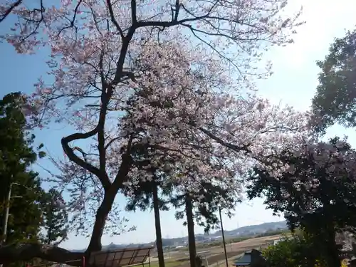 櫻田山神社の自然