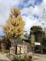 五條天神社(東京都)