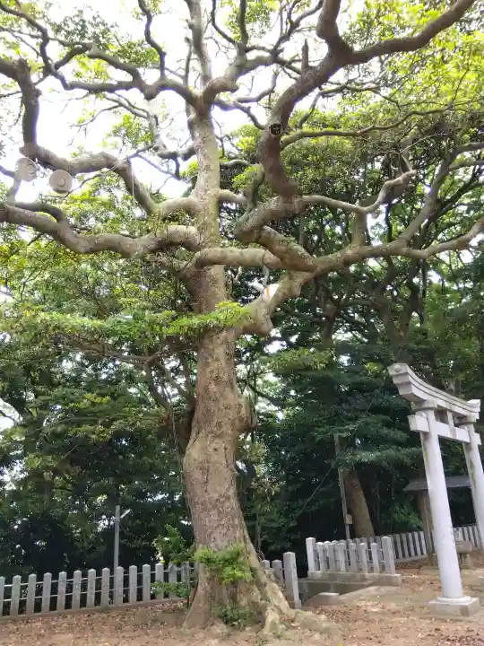 春日神社の{uncategorized: "未分類", other: "その他", undefined: "問題あり", building: "その他建物", grave: "お墓", sacred_gate: "鳥居", guardian: "狛犬", statue: "像", buddha: "仏像", history: "歴史", nature: "自然", garden: "庭園", animal: "動物", pagoda: "塔", temizu: "手水舎", mountain_gate: "山門・神門", sanctuary: "本殿・本堂", subordinate: "末社・摂社", art: "芸術", scenery: "景色", jizo: "地蔵", ema: "絵馬", goshuin: "御朱印", omikuji: "おみくじ", items: "授与品その他", amulet: "お守り", goshuincho: "御朱印帳", eats: "食事", festival: "お祭り", votive_dance: "神楽", shichigosan: "七五三参", wedding: "結婚式", experience: "体験その他", initially: "初詣", around: "周辺", anti_infection: "感染症対策"}