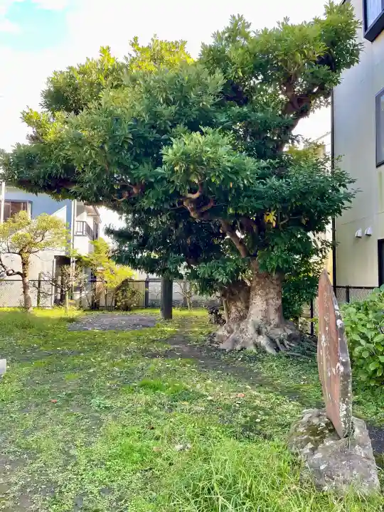 巽神社(神奈川県)