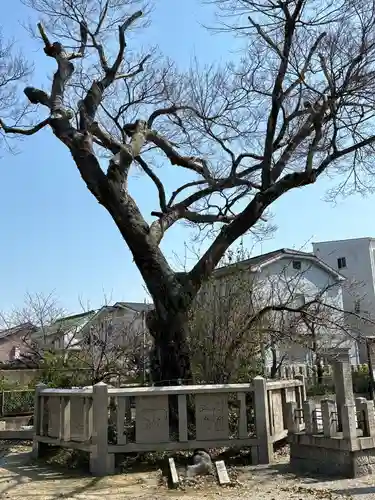 旭神社(大阪府)