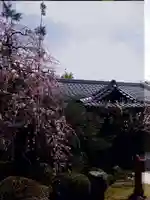 蓮華王院(三十三間堂)のその他建物