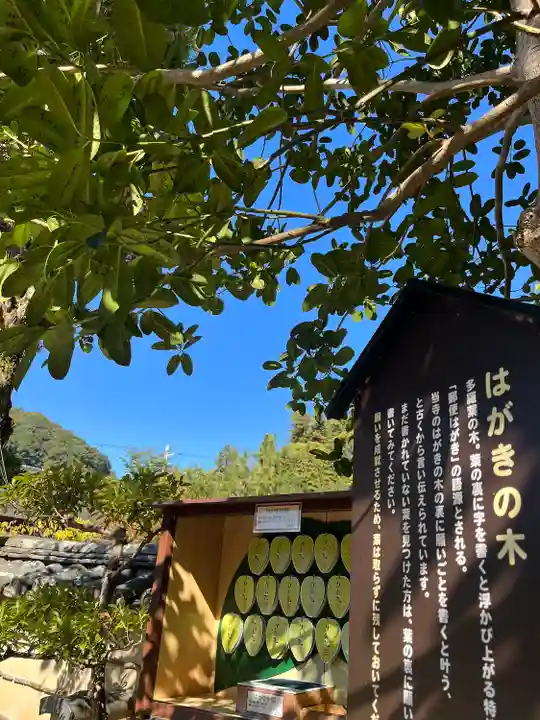 法起院(奈良県)