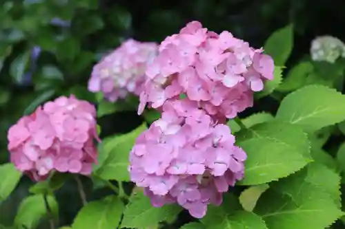  智積院(京都府)