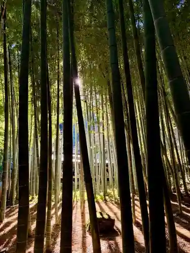 報国寺(神奈川県)