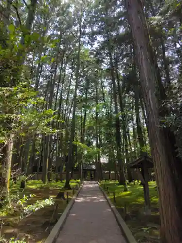 唐招提寺のその他建物