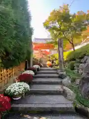 宝徳寺(群馬県)